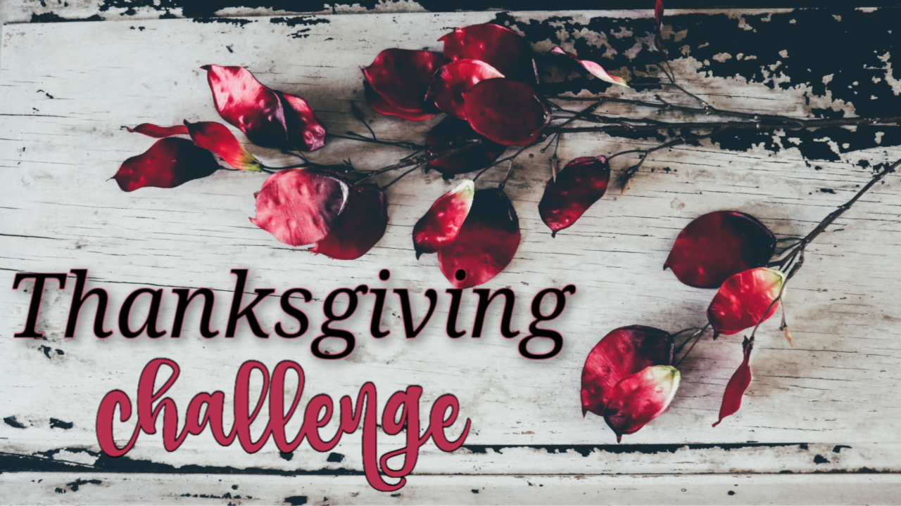 2019 Thanksgiving Week Challenge